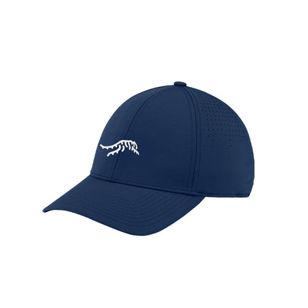 SUN DAY RED Cypress Tour Snapback Men's Cap (Blue)