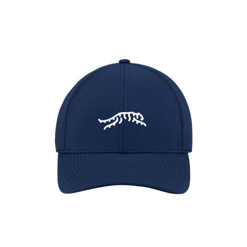 SUN DAY RED Cypress Tour Snapback Men's Cap (Blue)