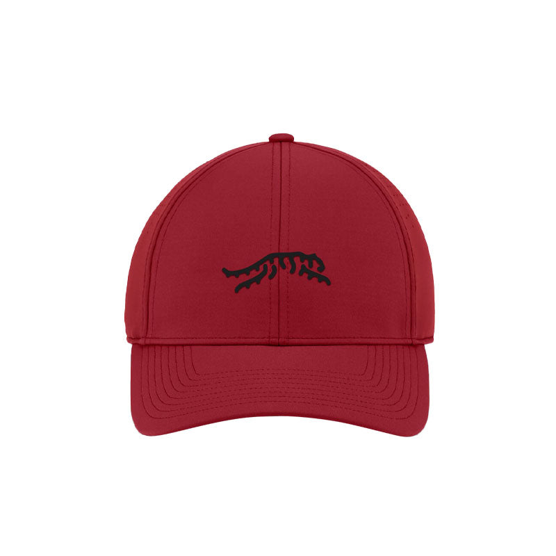 SUN DAY RED Cypress Tour Snapback Men's Cap (Red)